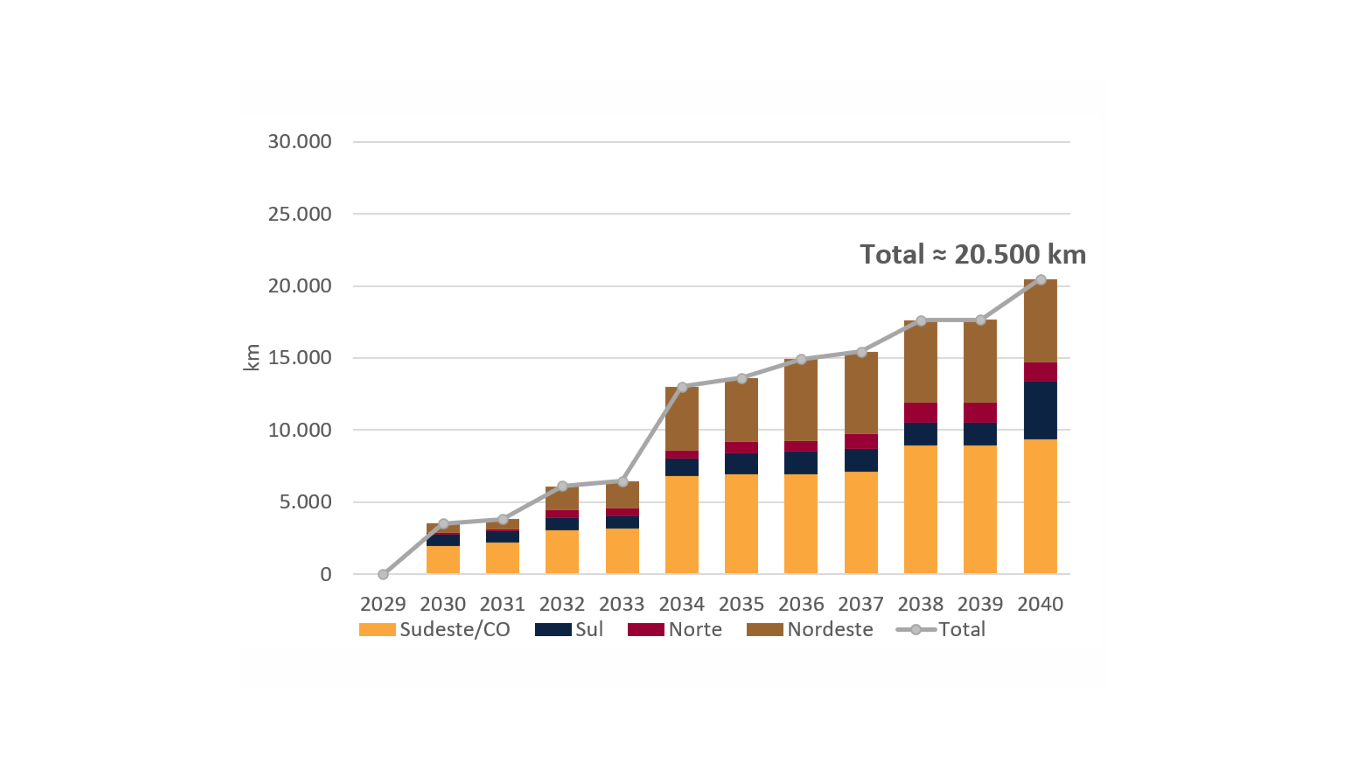 petpelp-do-1-semestre-de-2026-img.png